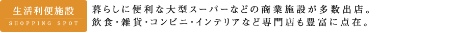 生活利便施設